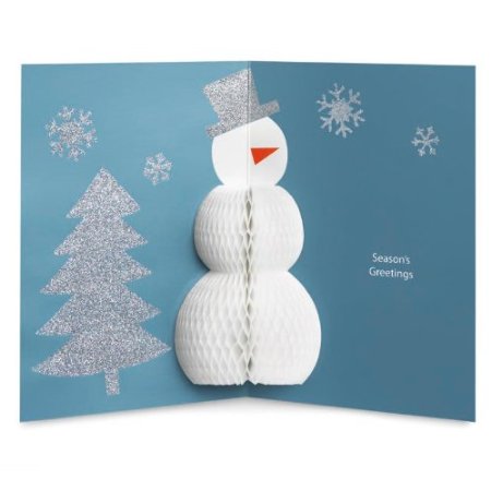 A+B Designs Honeycomb Snowman Holiday Cards 