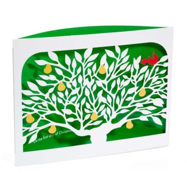 Pop Up Boxed Holiday Greeting Cards