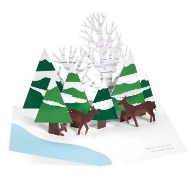 Forest Scene PoP-Up Holiday Cards